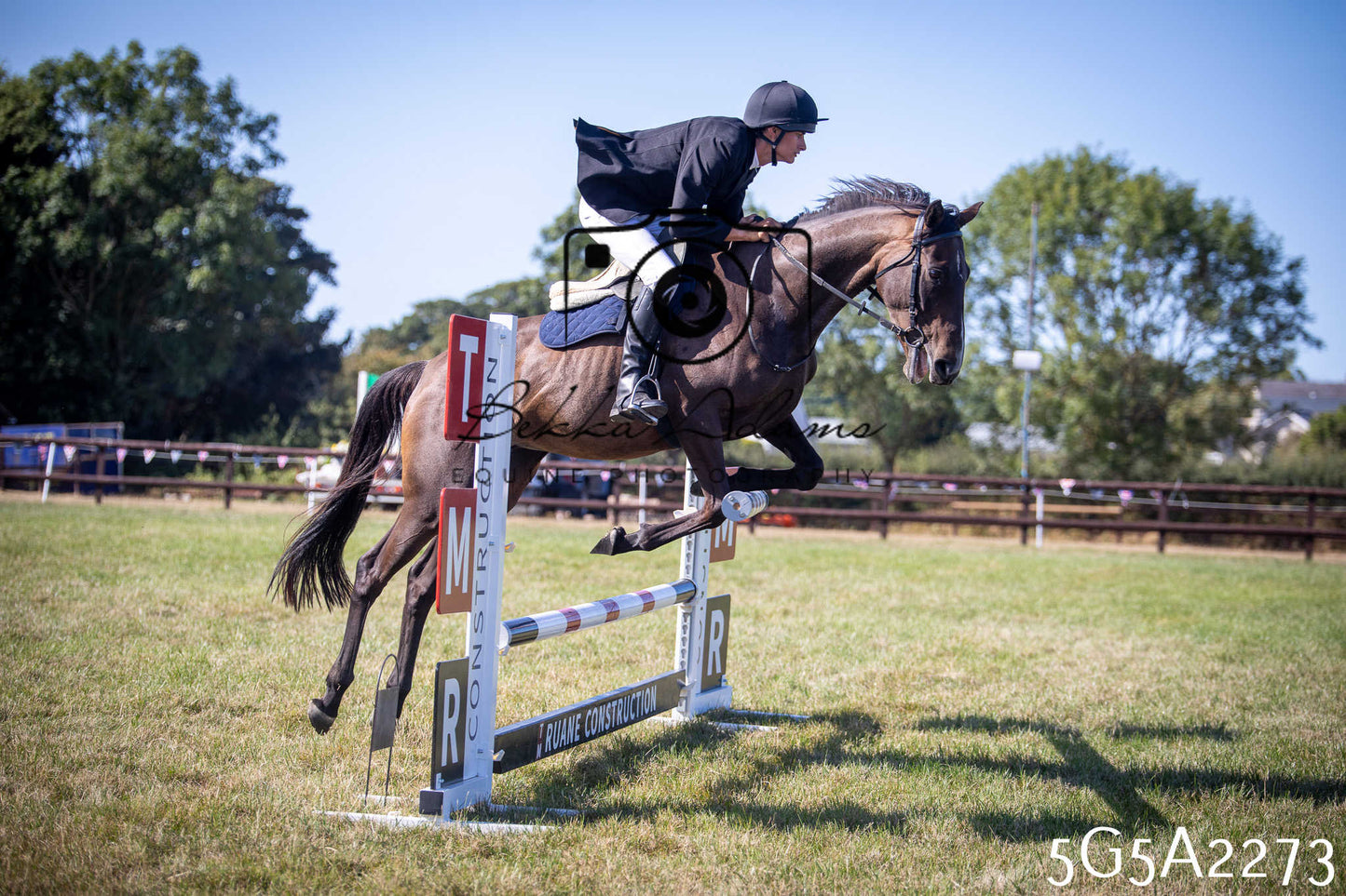 St Lawrence Charity Horse Show - Sunday pt3