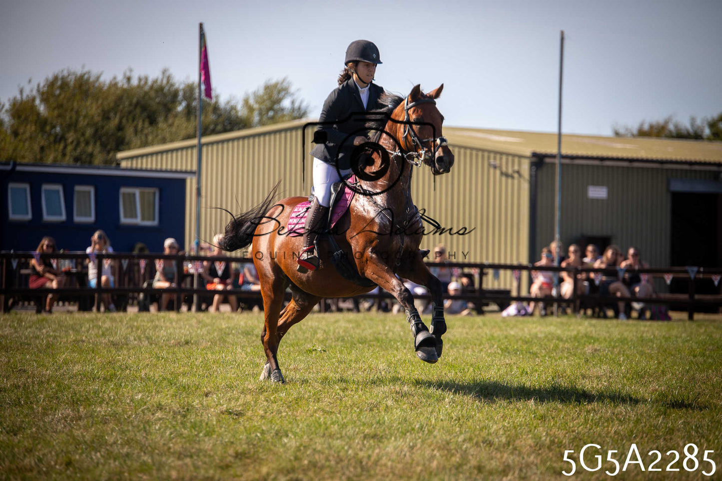 St Lawrence Charity Horse Show - Sunday pt3