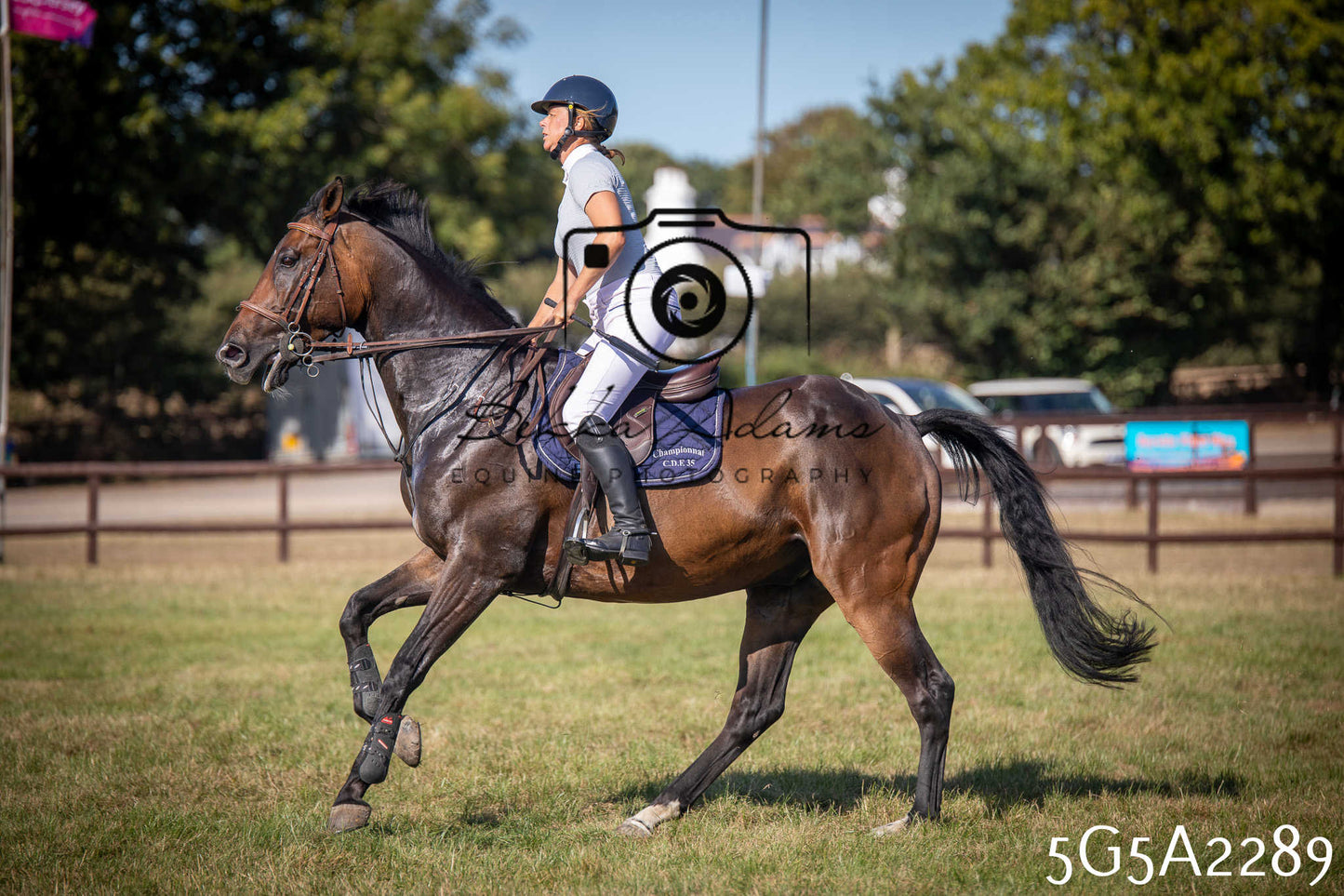 St Lawrence Charity Horse Show - Sunday pt3