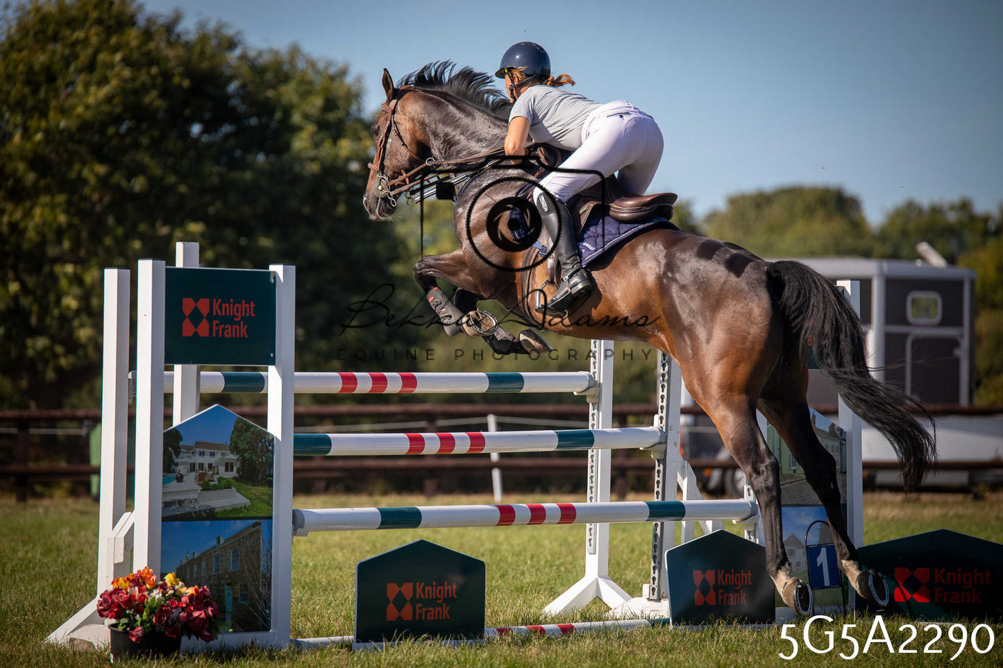St Lawrence Charity Horse Show - Sunday pt3