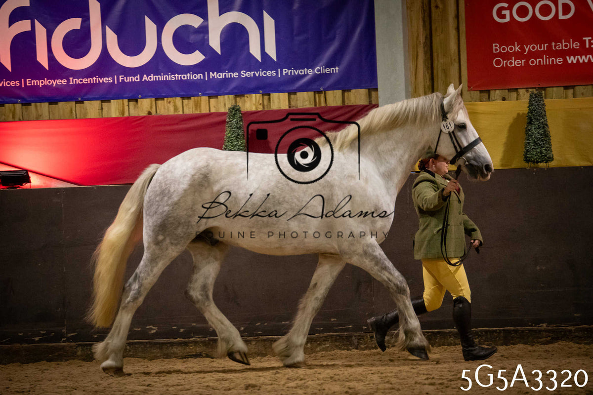 Funshine Show 2026 - Inhand pt 1