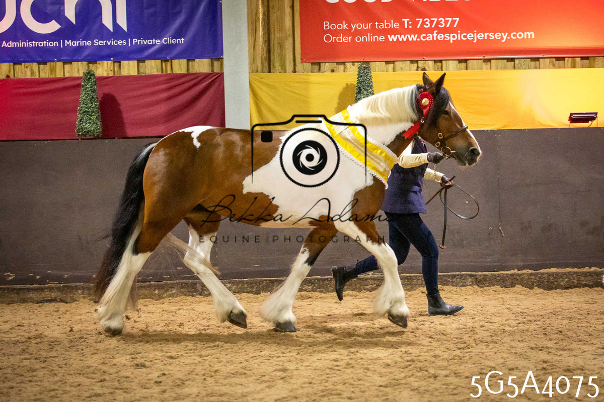 Funshine Show 2026 - Inhand pt 2