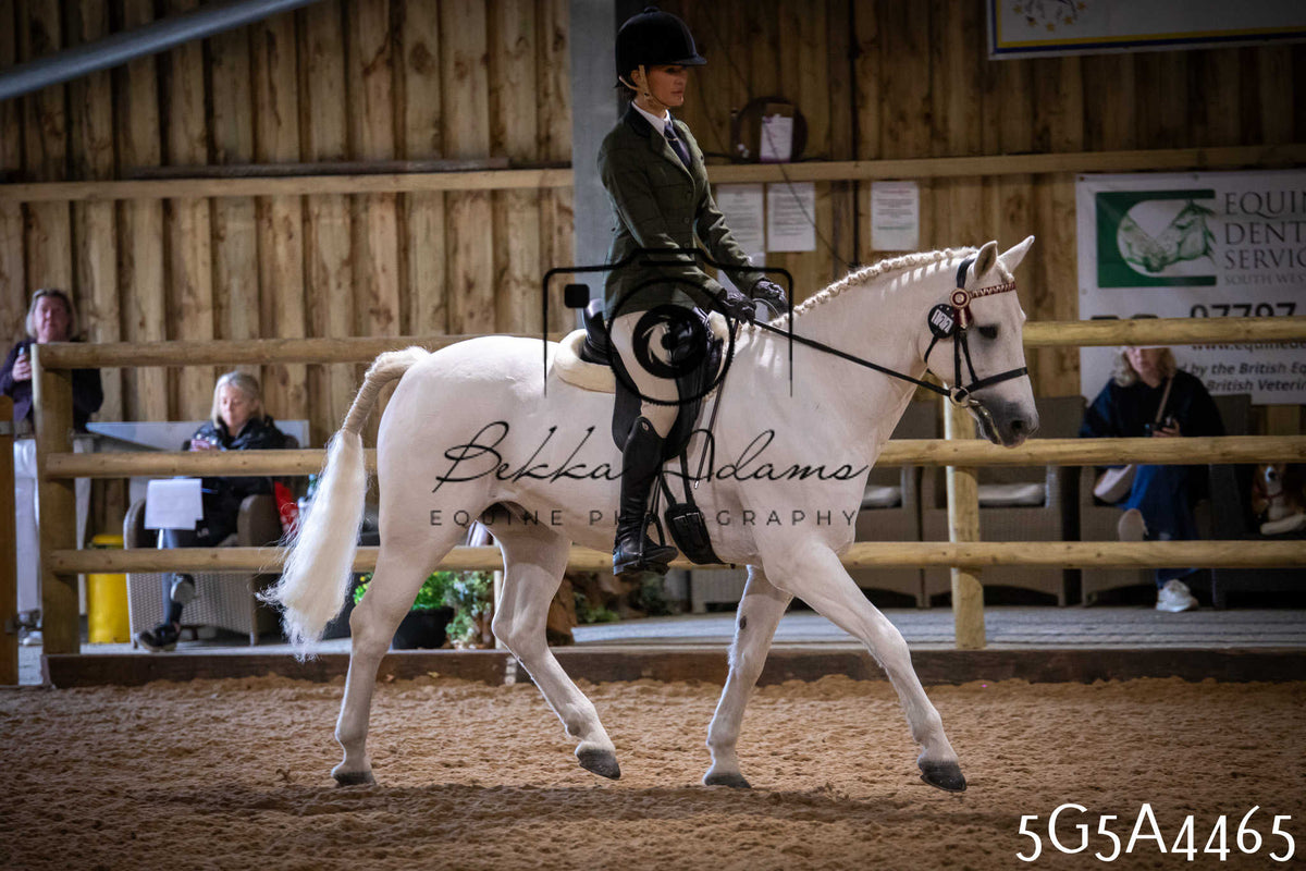 Funshine Show 2026 - Ridden pt 1