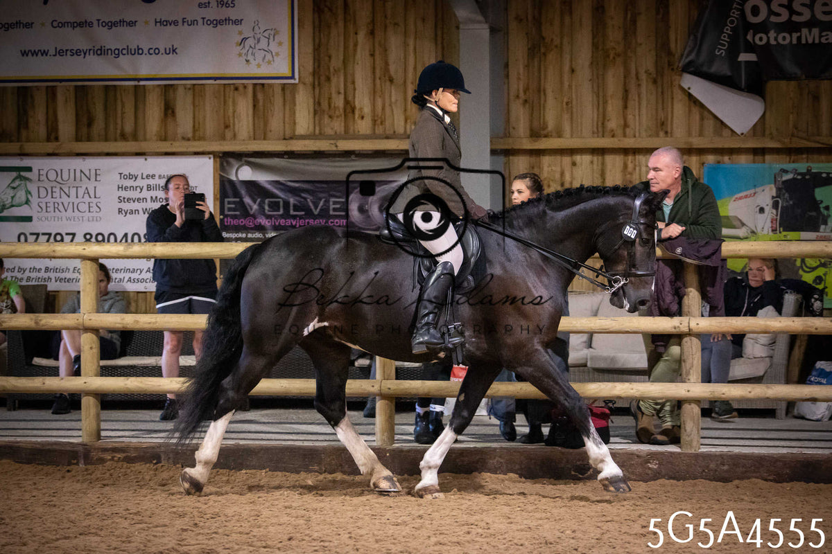 Funshine Show 2026 - Ridden pt 2