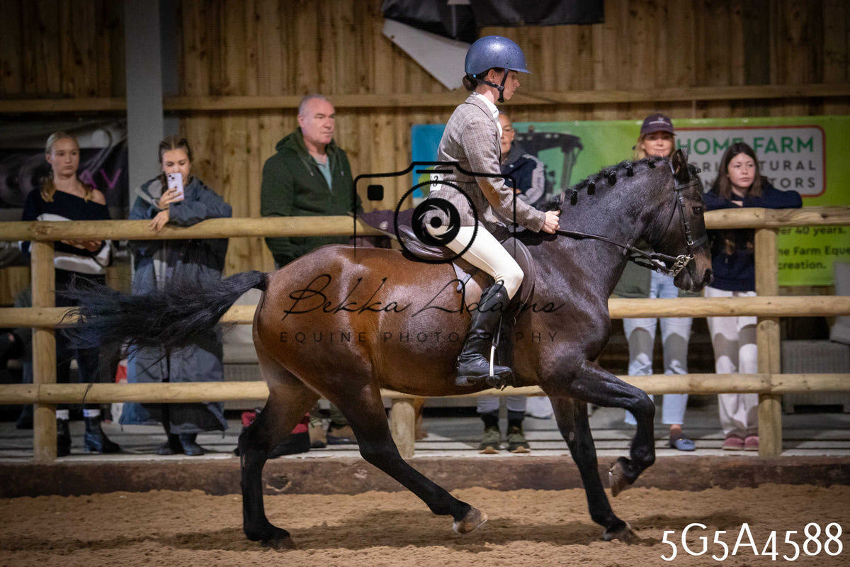 Funshine Show 2026 - Ridden pt 2