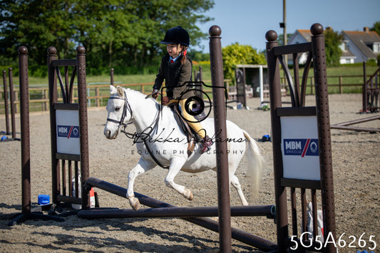 Home Farm Working Hunter 24th May 2026