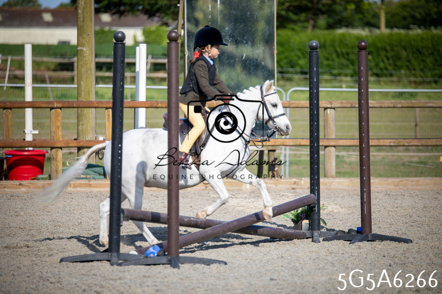 Home Farm Working Hunter 24th May 2026