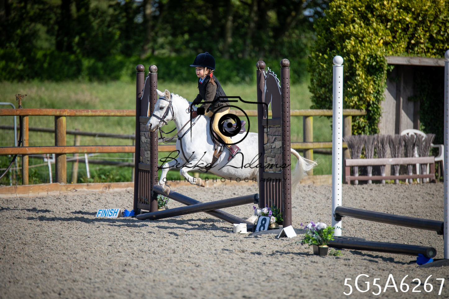 Home Farm Working Hunter 24th May 2026