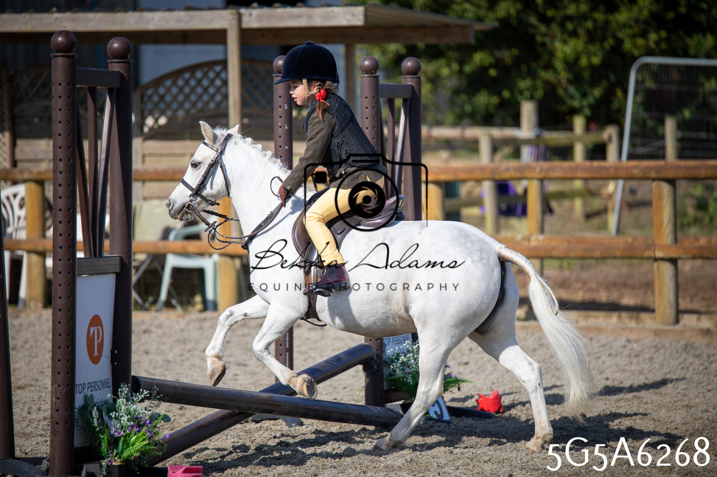 Home Farm Working Hunter 24th May 2026