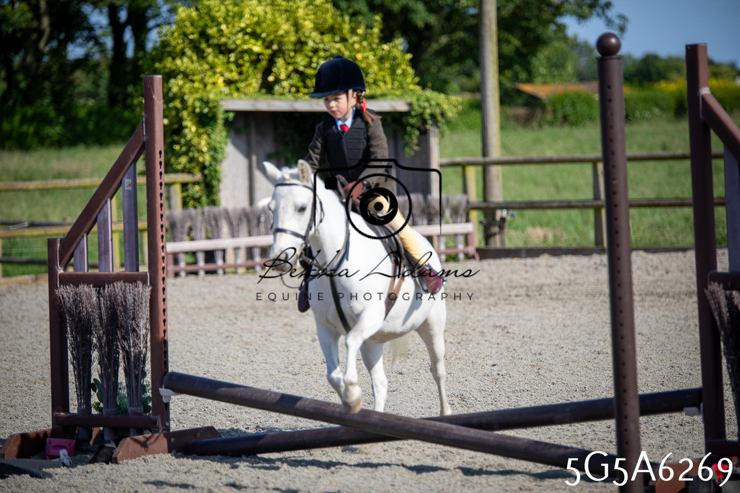 Home Farm Working Hunter 24th May 2026
