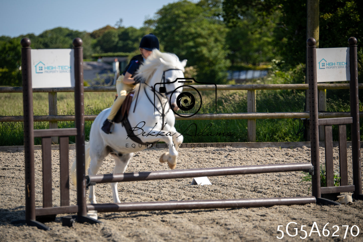 Home Farm Working Hunter 24th May 2026