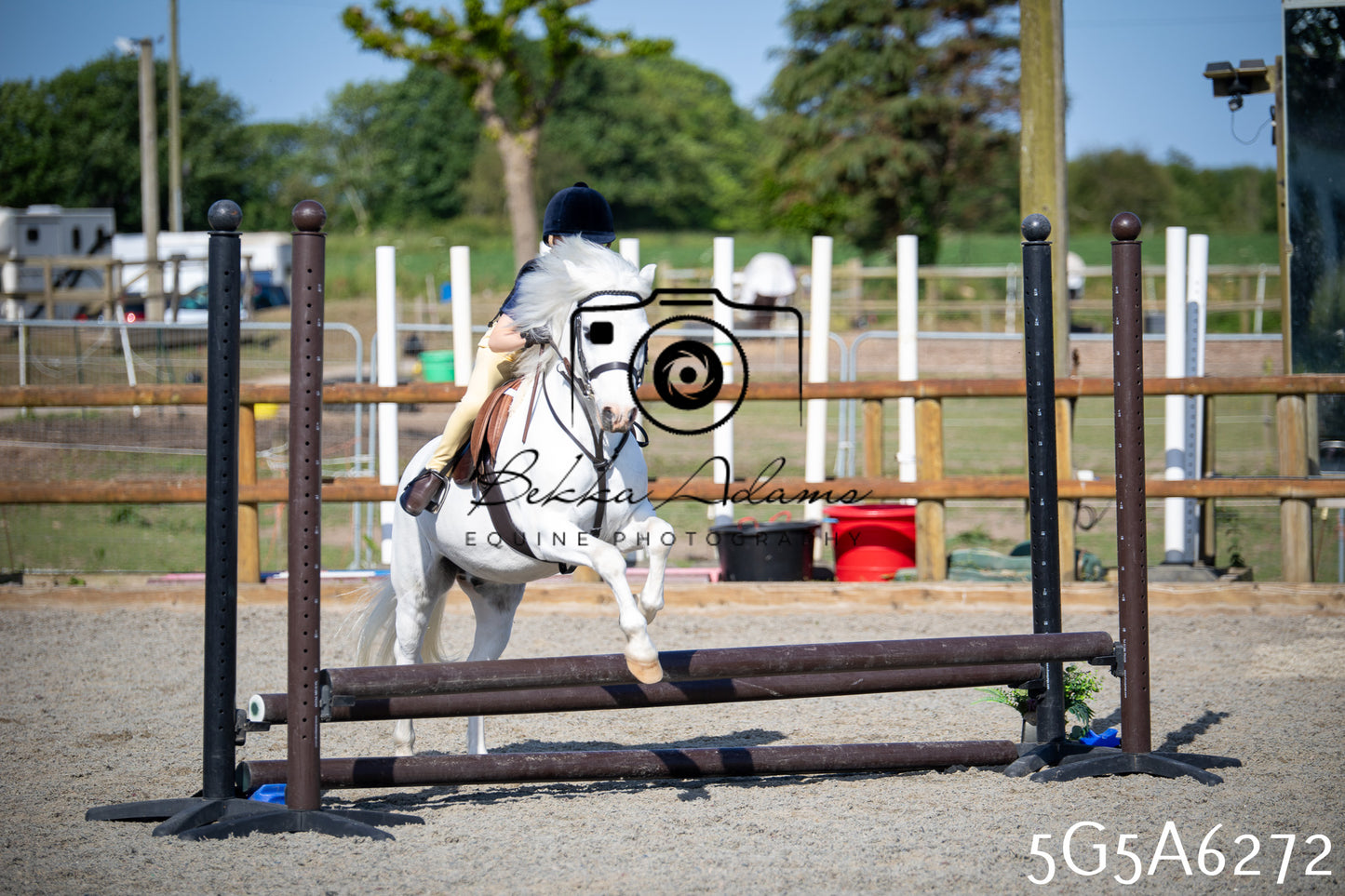 Home Farm Working Hunter 24th May 2026