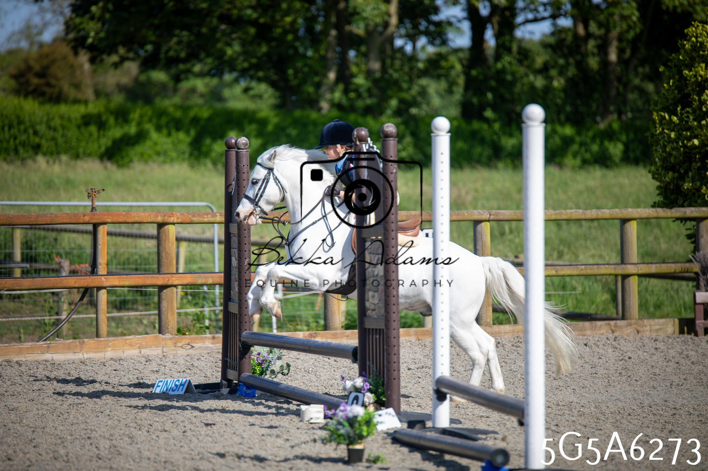Home Farm Working Hunter 24th May 2026