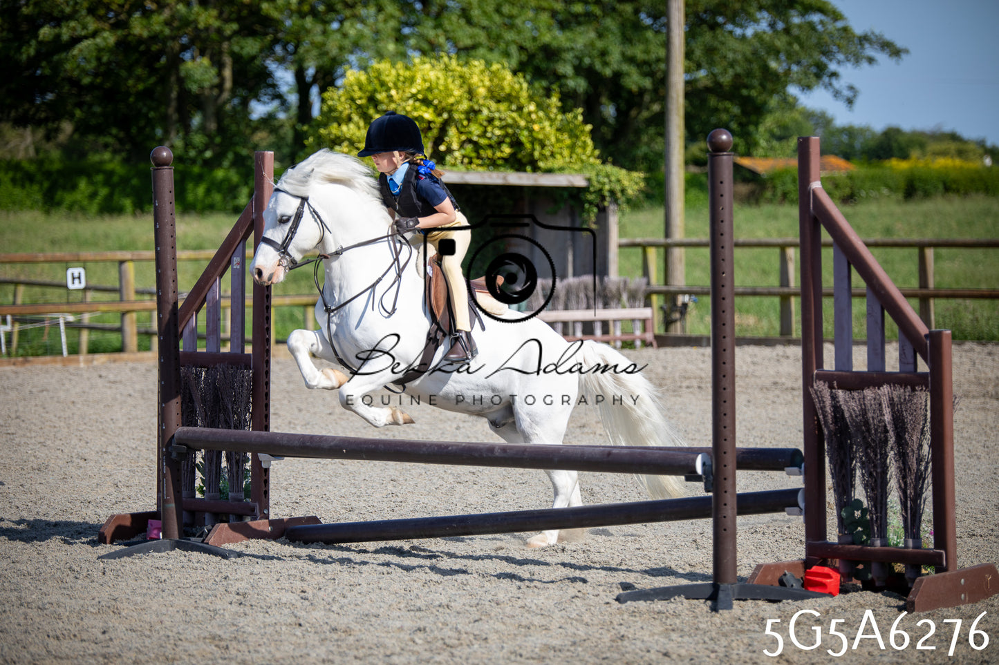 Home Farm Working Hunter 24th May 2026