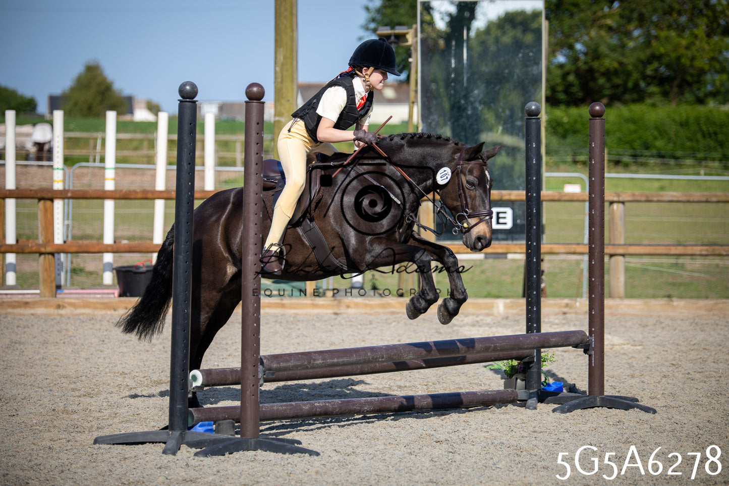Home Farm Working Hunter 24th May 2026