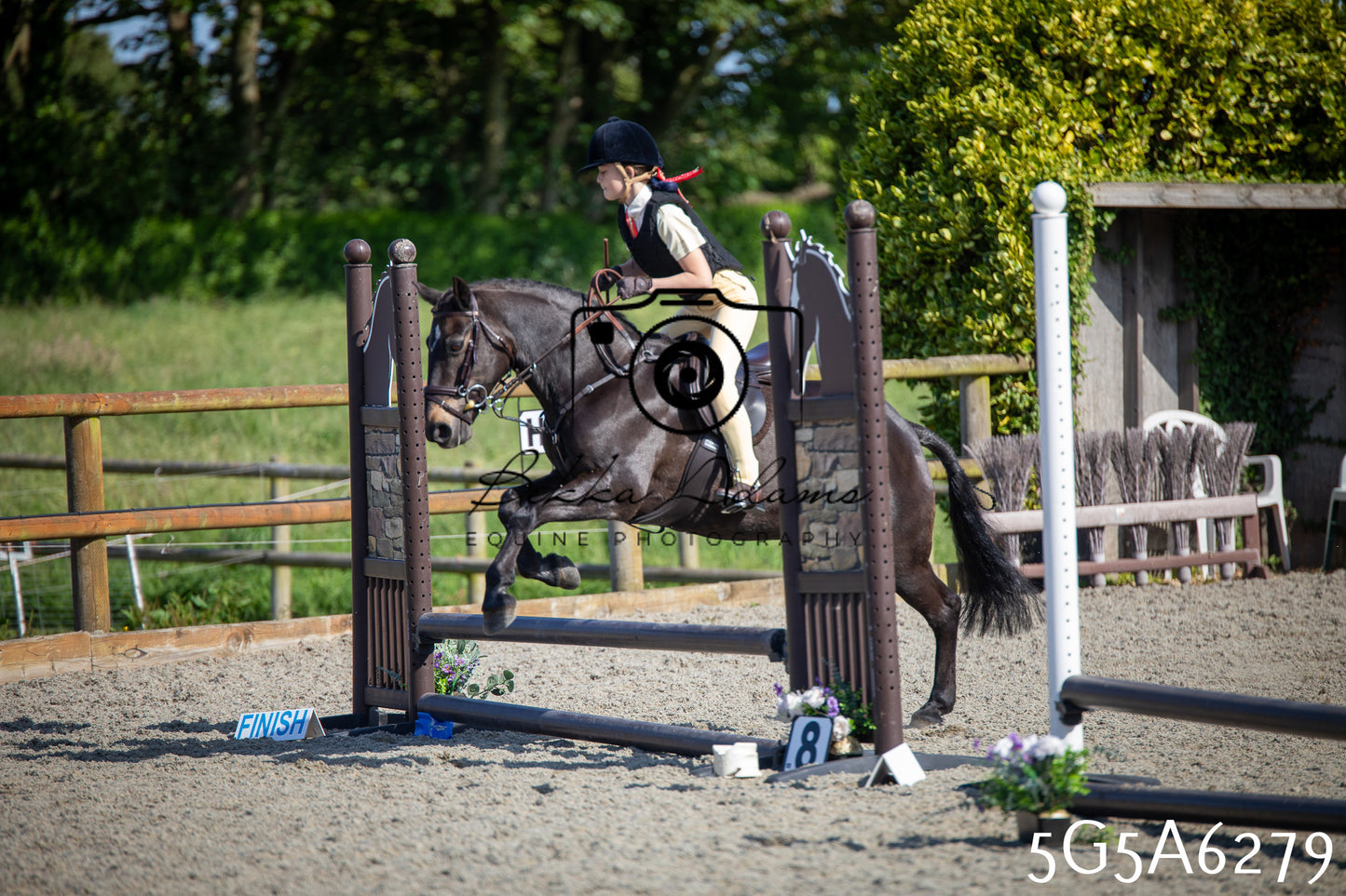 Home Farm Working Hunter 24th May 2026