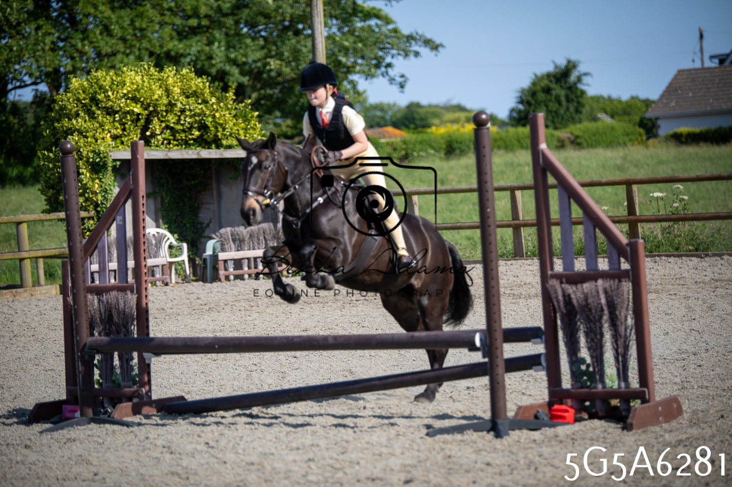 Home Farm Working Hunter 24th May 2026