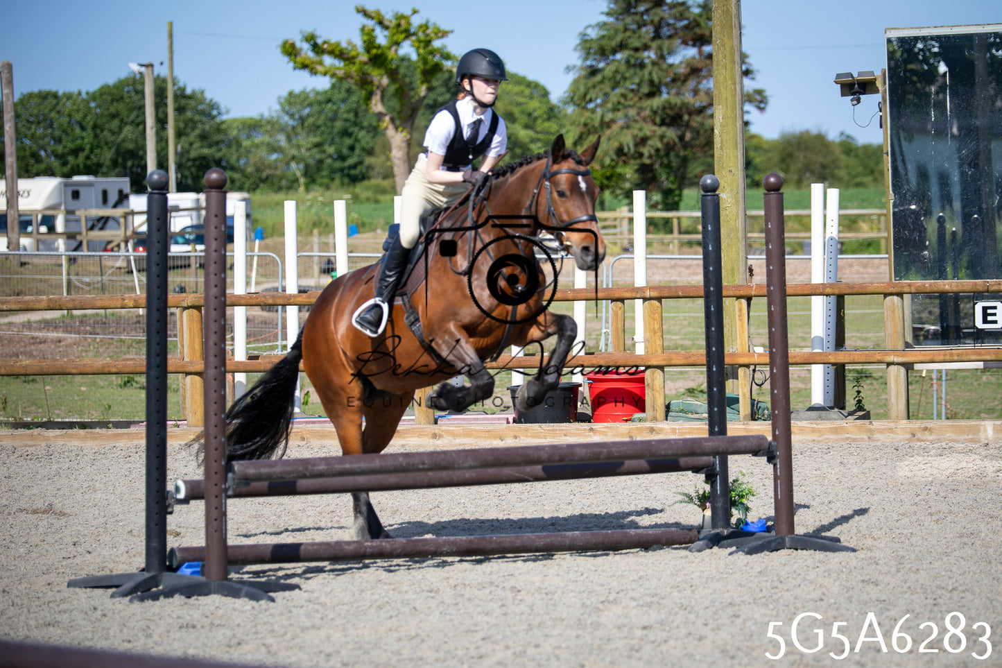 Home Farm Working Hunter 24th May 2026