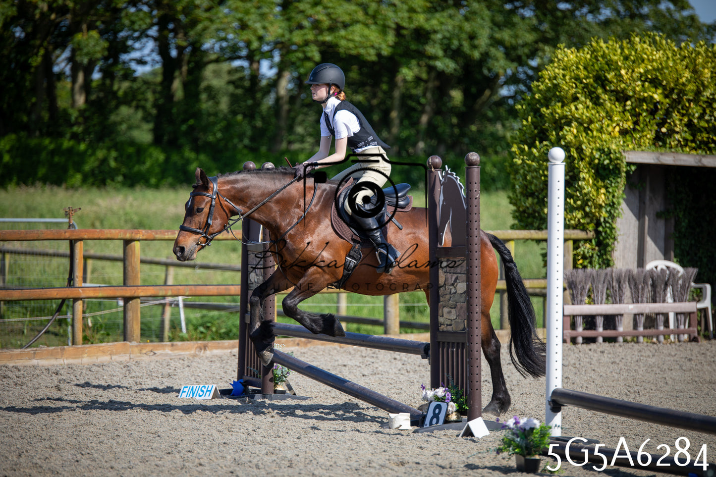 Home Farm Working Hunter 24th May 2026