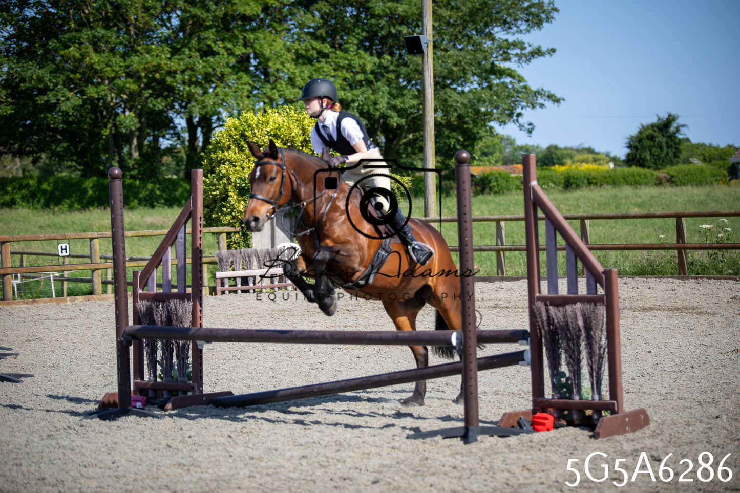 Home Farm Working Hunter 24th May 2026