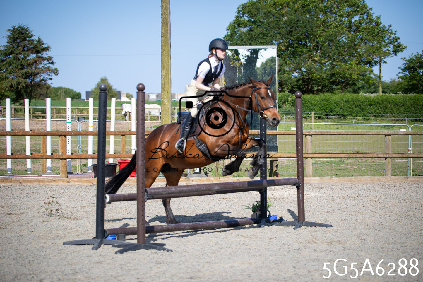 Home Farm Working Hunter 24th May 2026