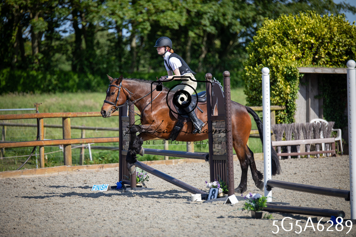 Home Farm Working Hunter 24th May 2026