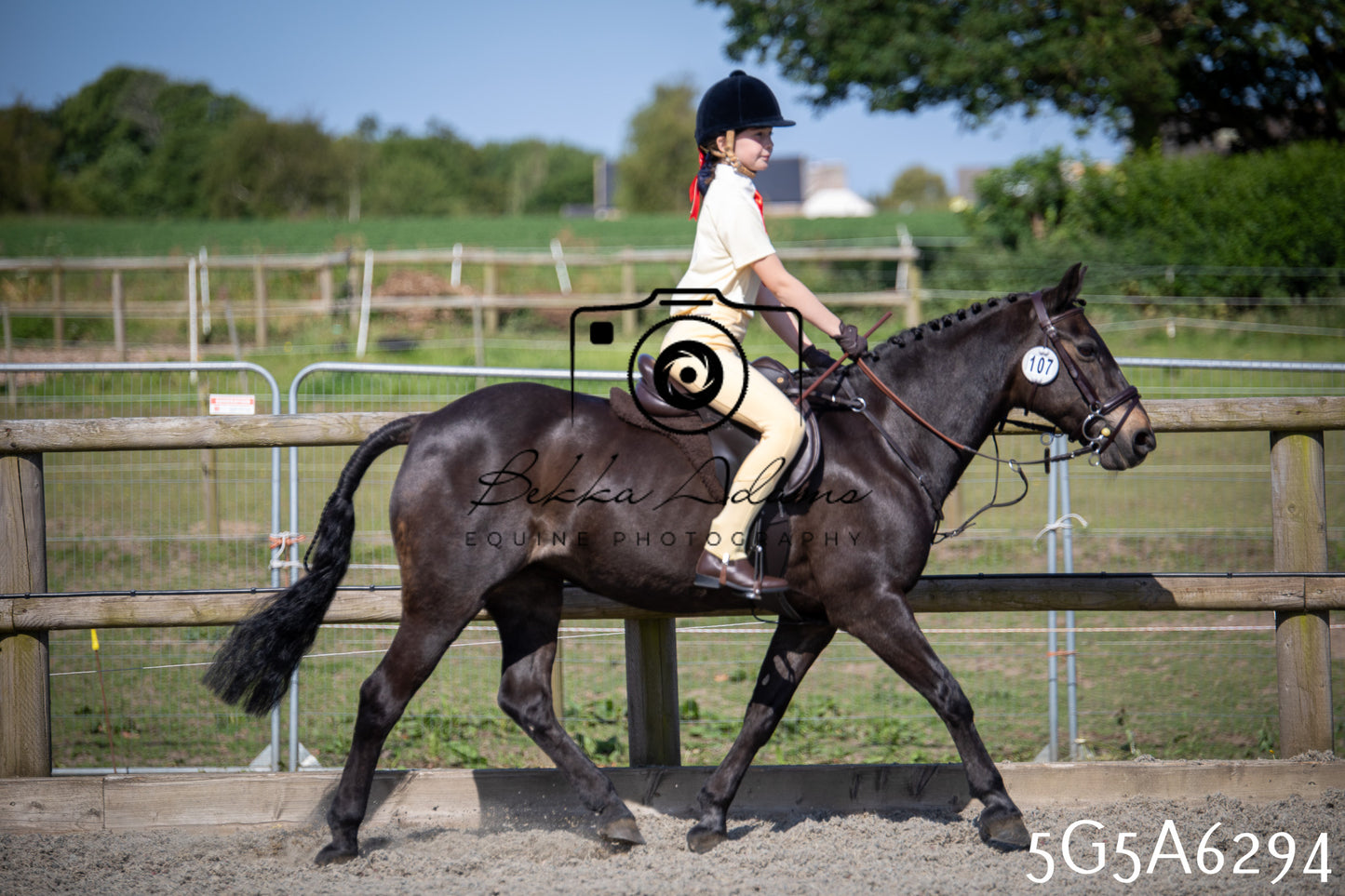 Home Farm Working Hunter 24th May 2026