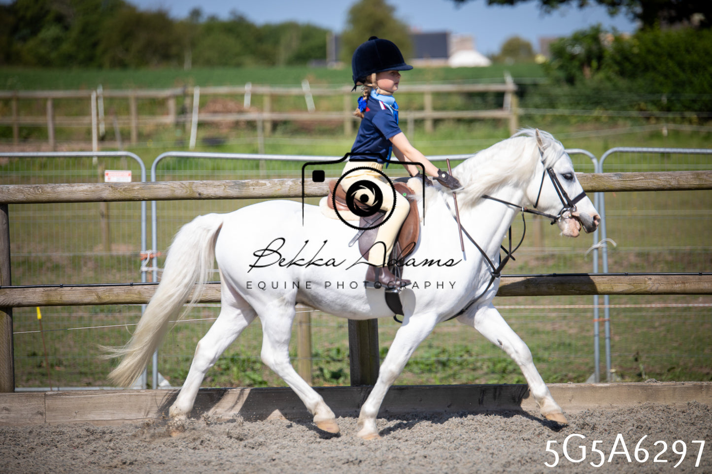 Home Farm Working Hunter 24th May 2026