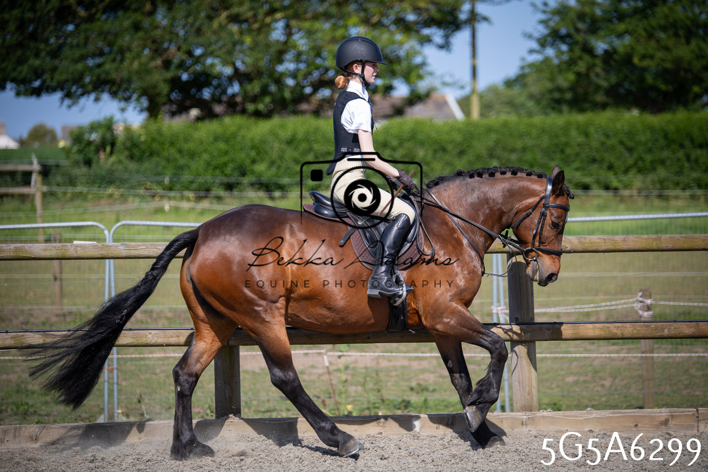 Home Farm Working Hunter 24th May 2026