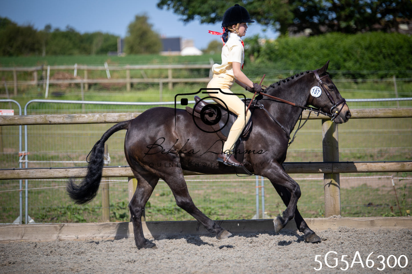 Home Farm Working Hunter 24th May 2026