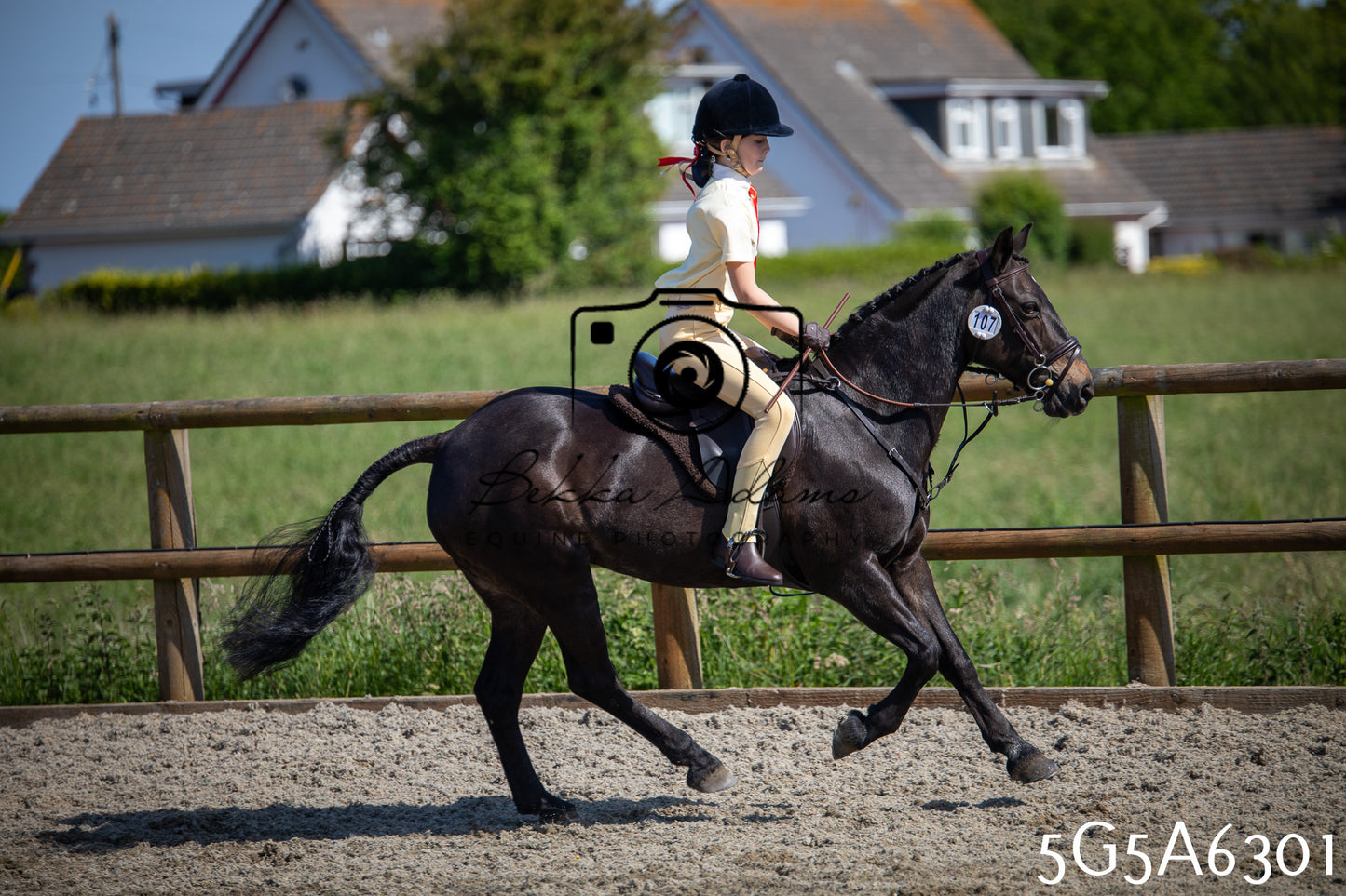 Home Farm Working Hunter 24th May 2026