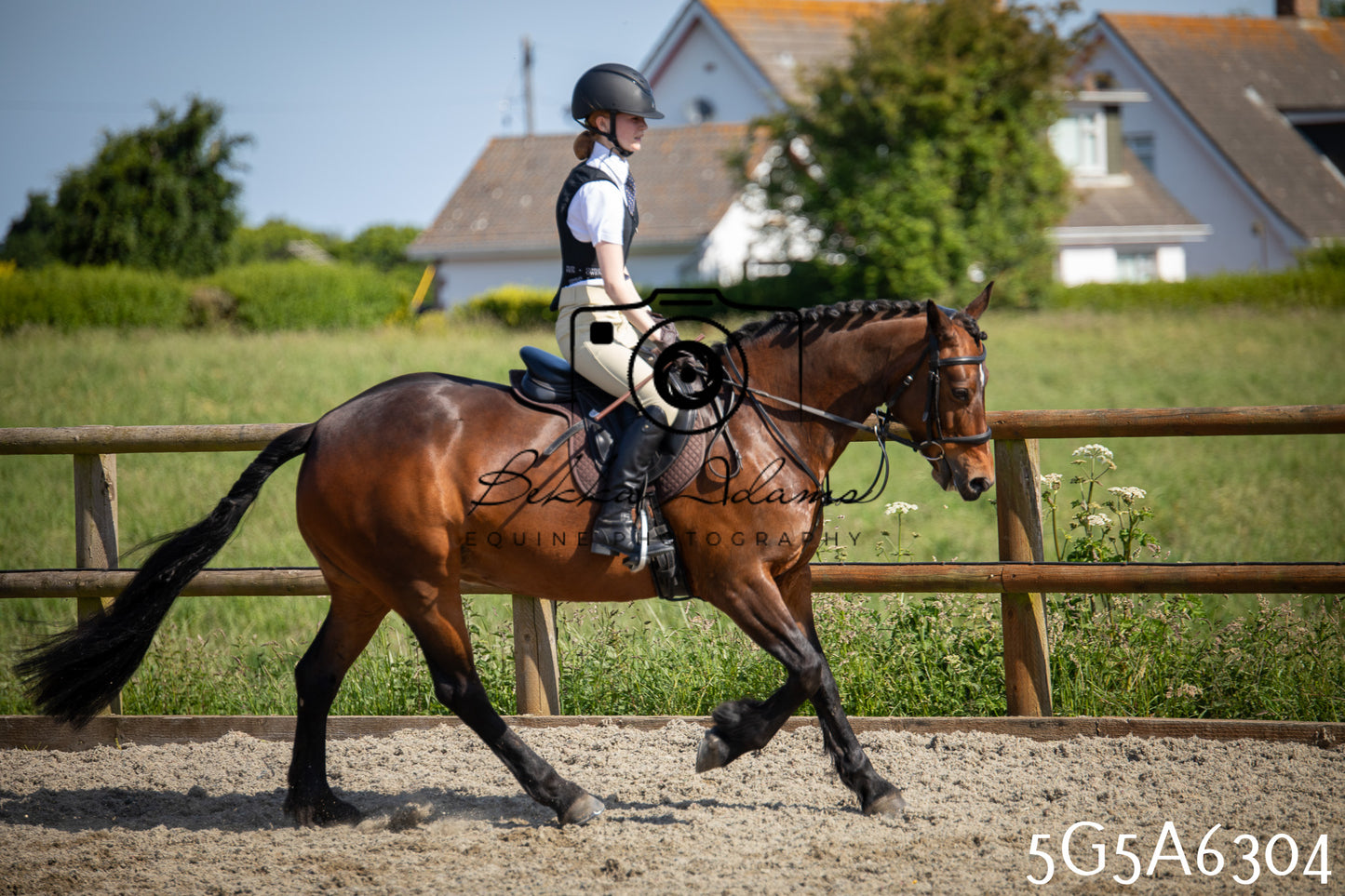 Home Farm Working Hunter 24th May 2026