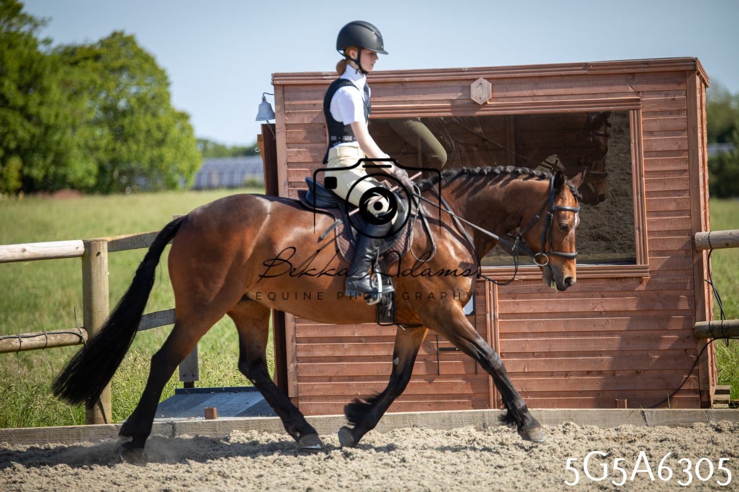 Home Farm Working Hunter 24th May 2026