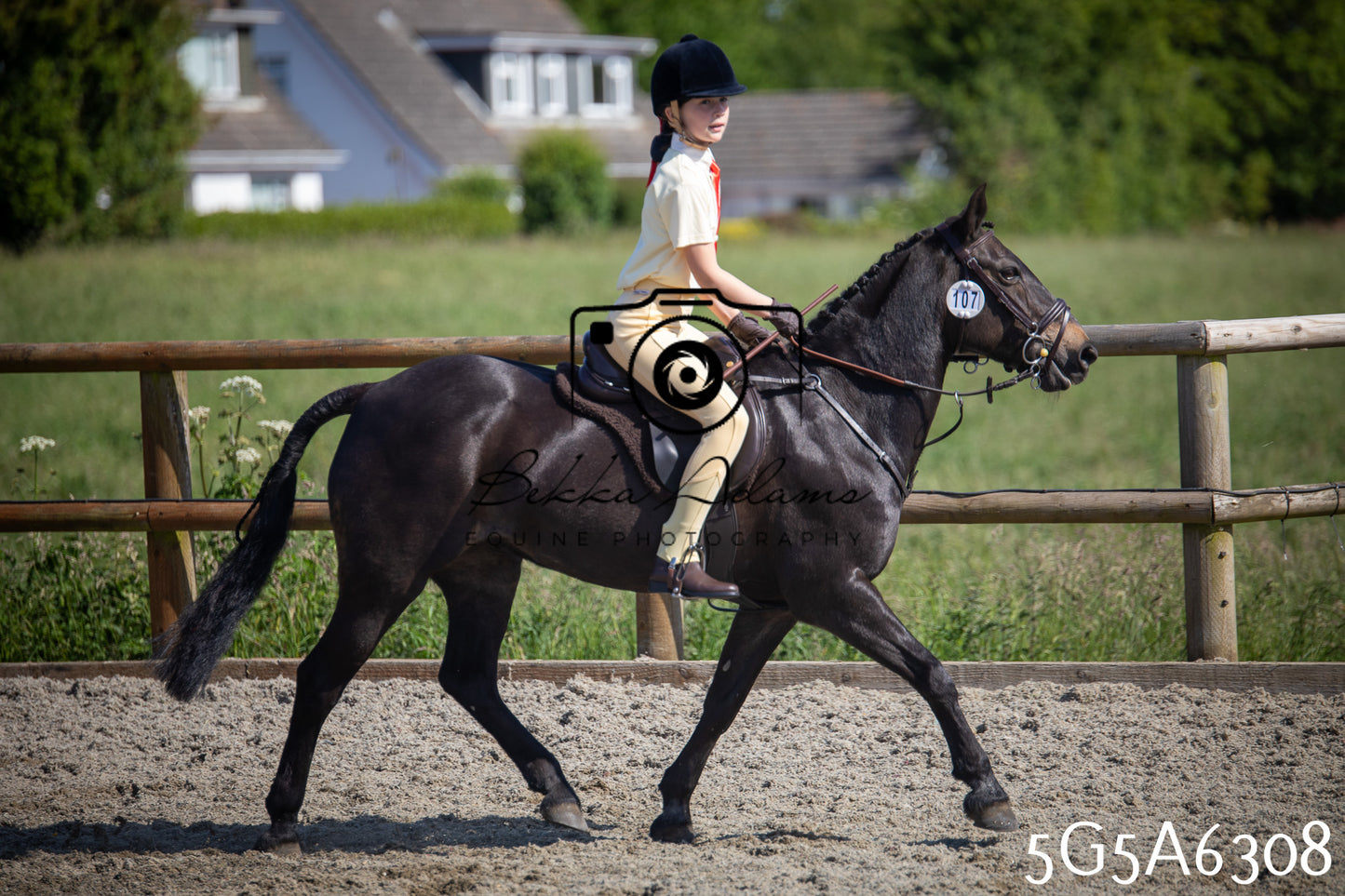 Home Farm Working Hunter 24th May 2026