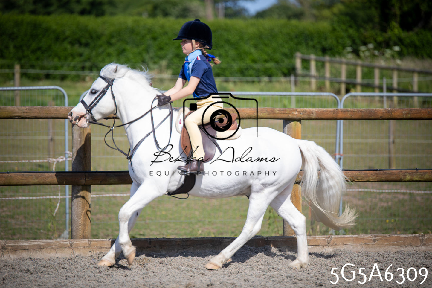 Home Farm Working Hunter 24th May 2026