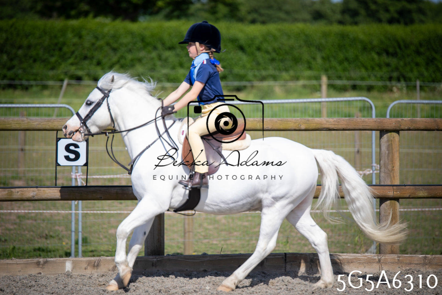 Home Farm Working Hunter 24th May 2026