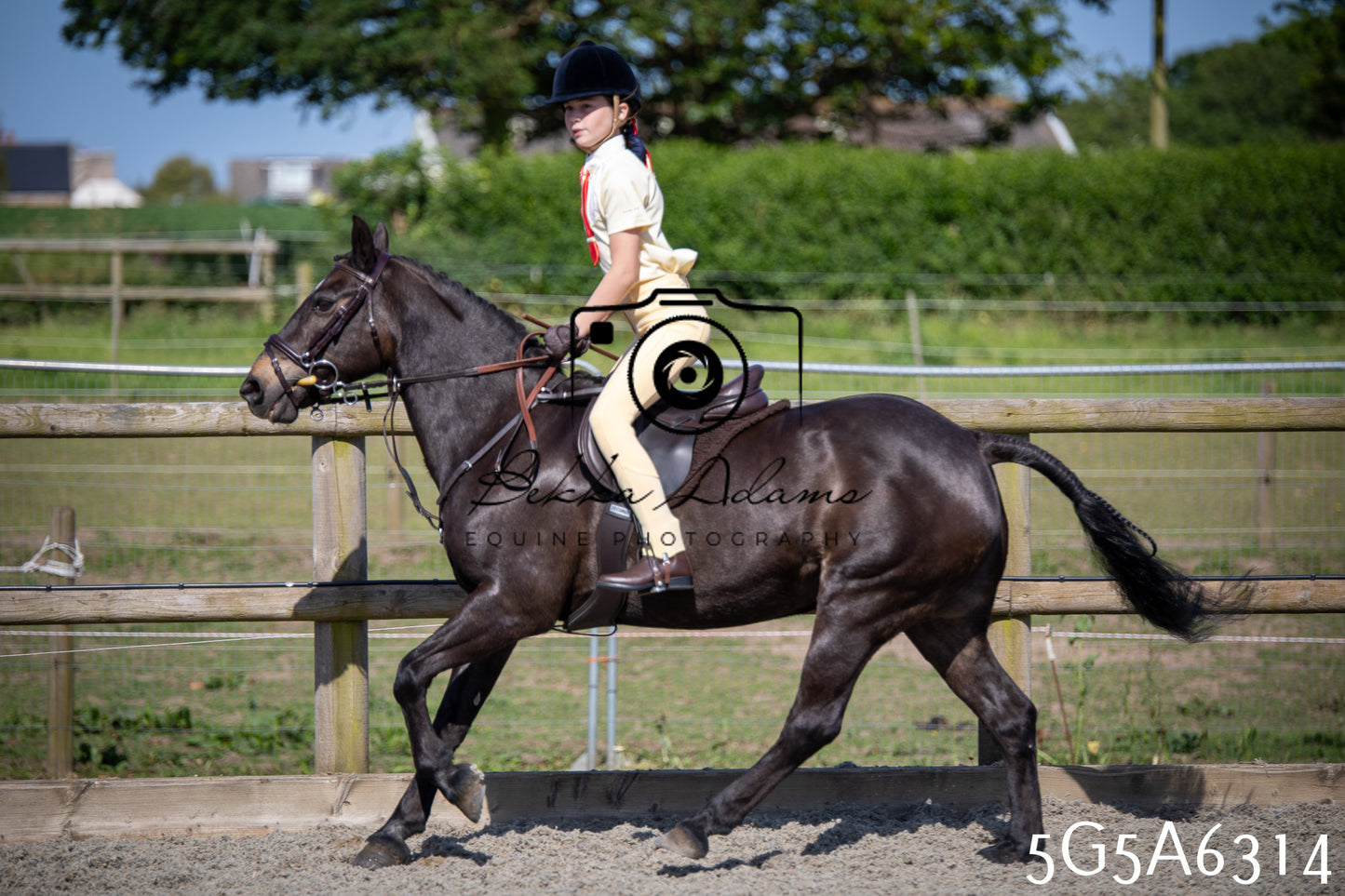 Home Farm Working Hunter 24th May 2026
