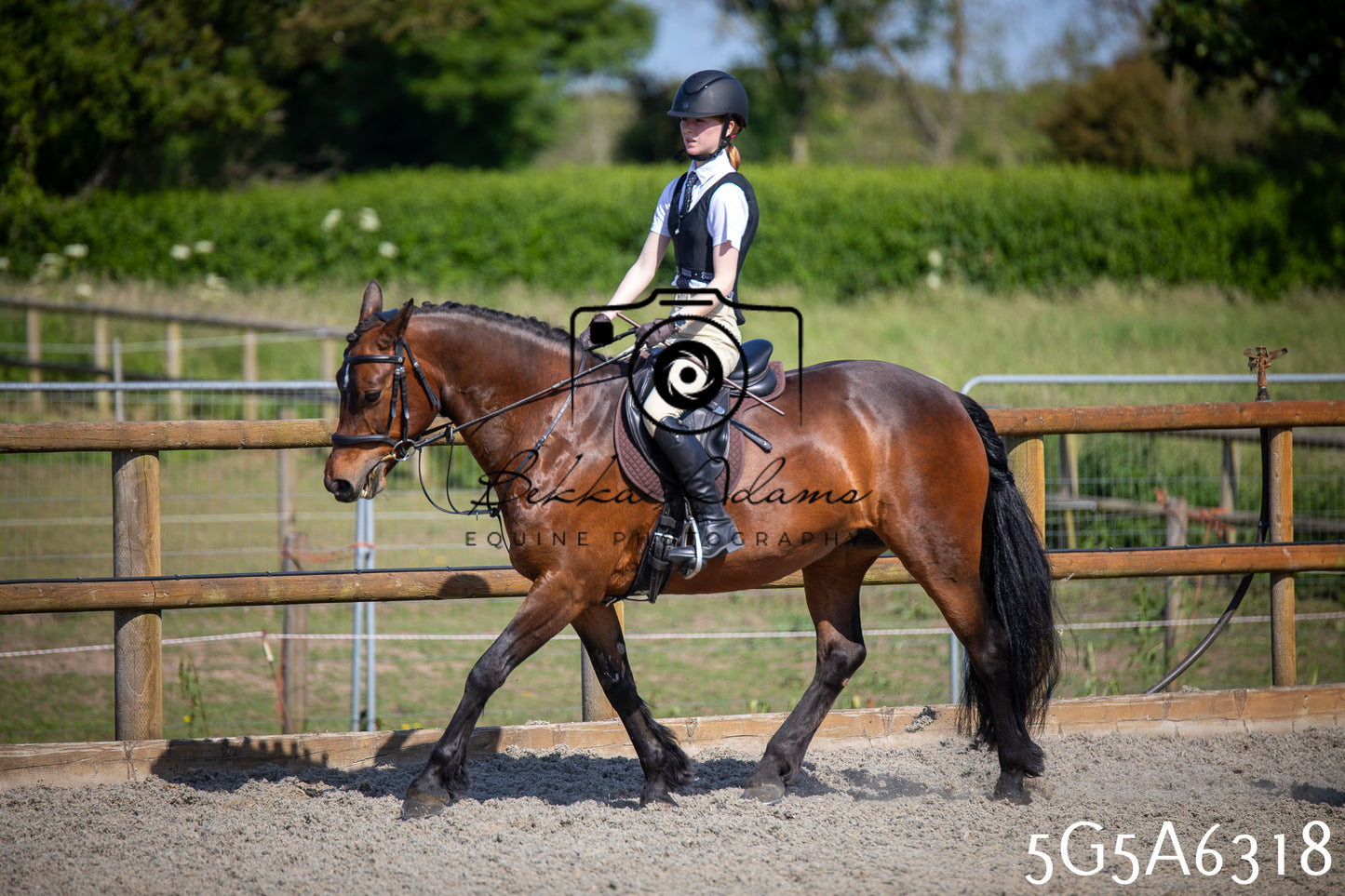 Home Farm Working Hunter 24th May 2026