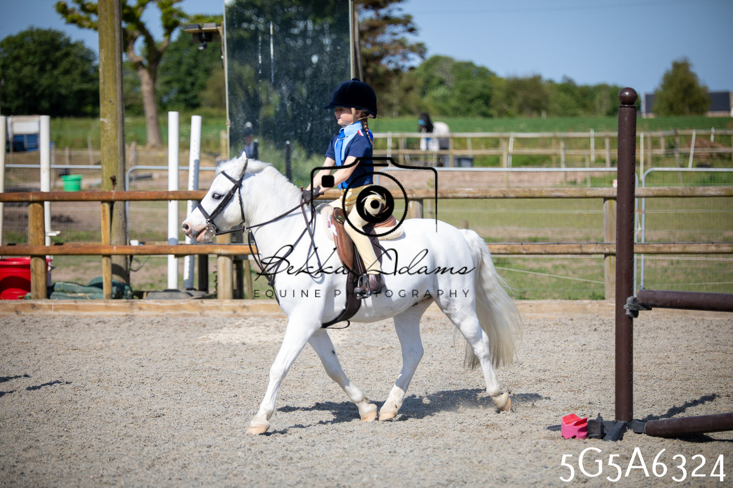 Home Farm Working Hunter 24th May 2026
