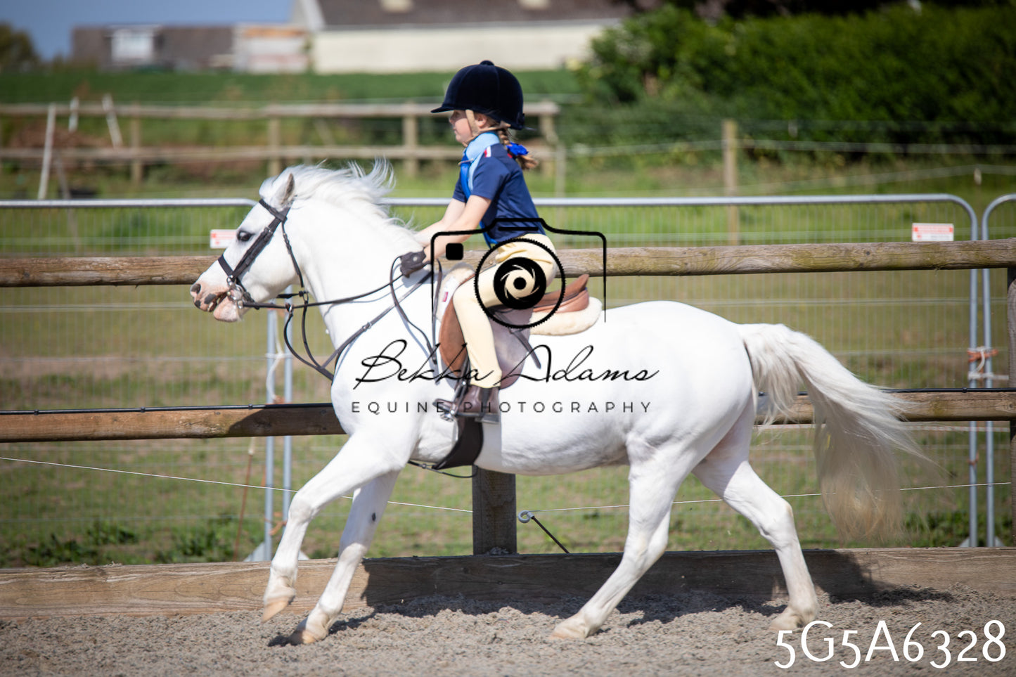 Home Farm Working Hunter 24th May 2026