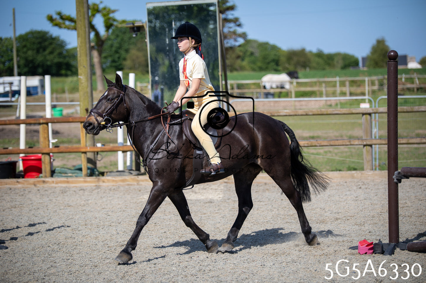 Home Farm Working Hunter 24th May 2026
