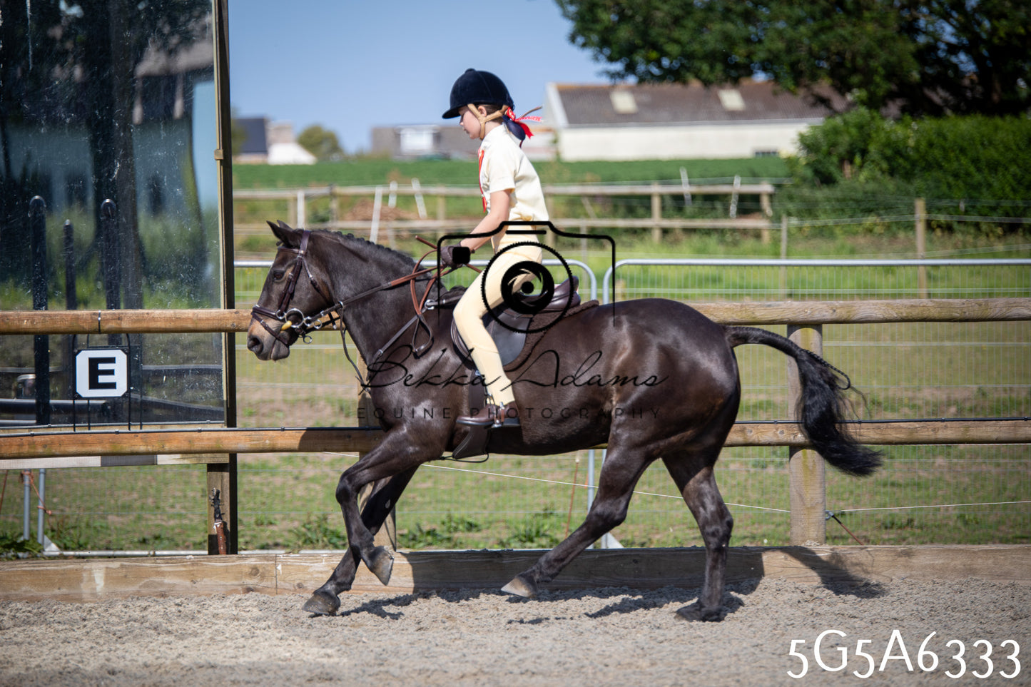 Home Farm Working Hunter 24th May 2026
