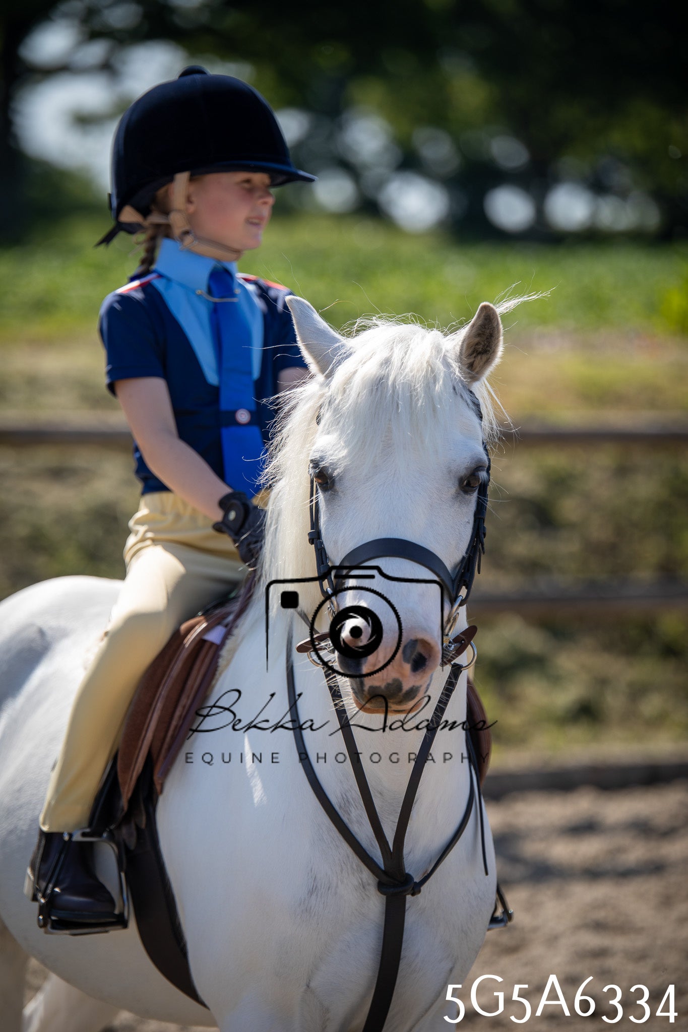 Home Farm Working Hunter 24th May 2026