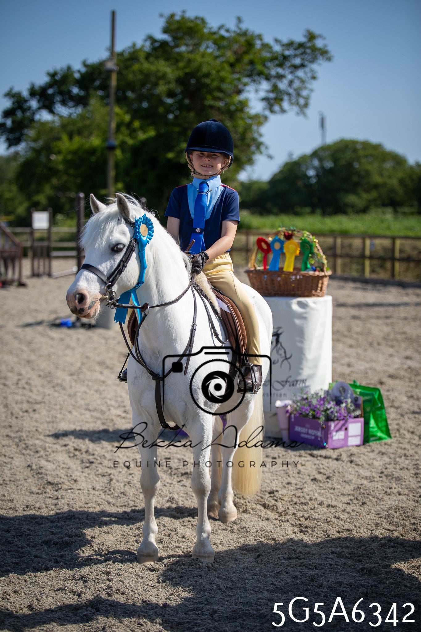 Home Farm Working Hunter 24th May 2026