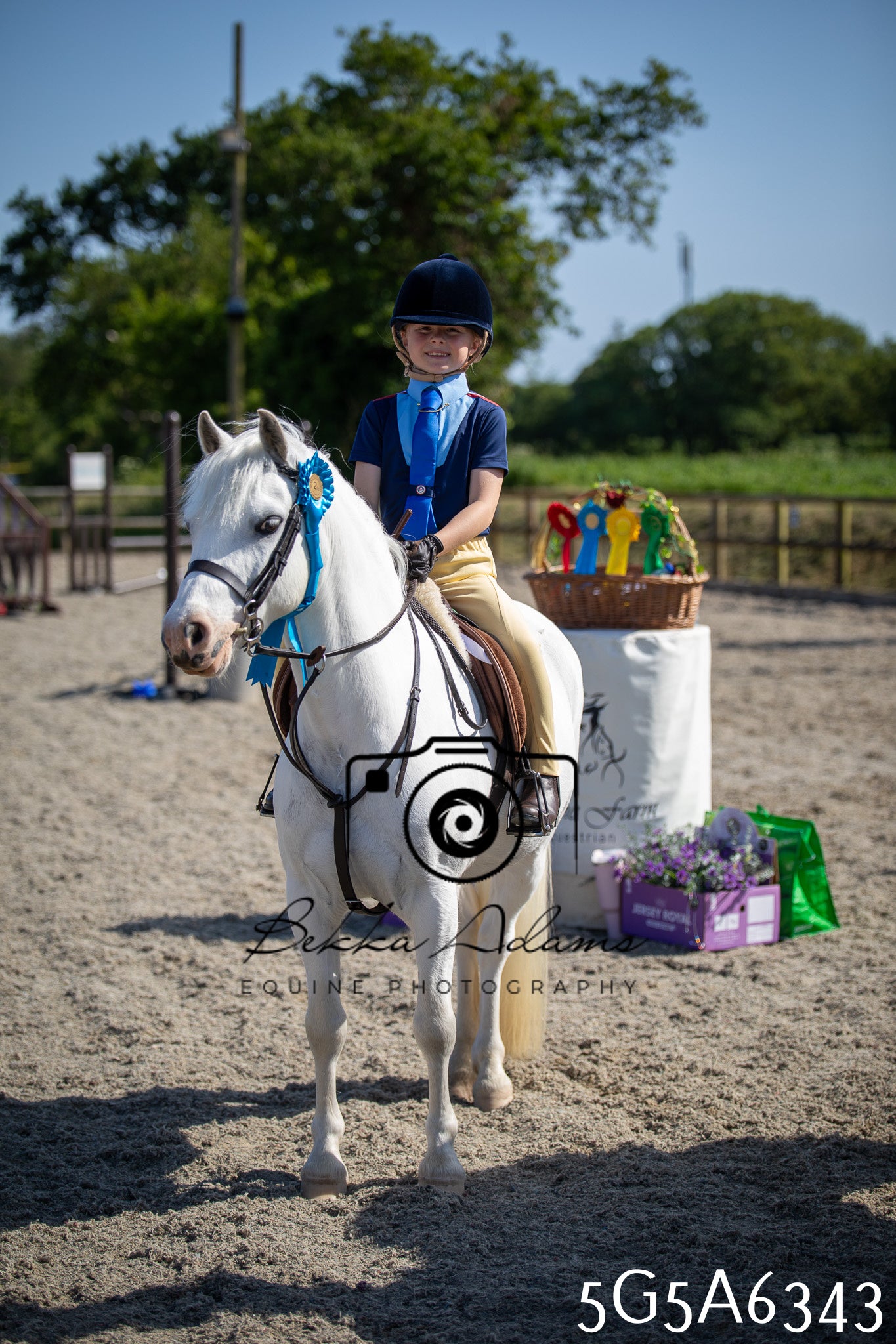 Home Farm Working Hunter 24th May 2026