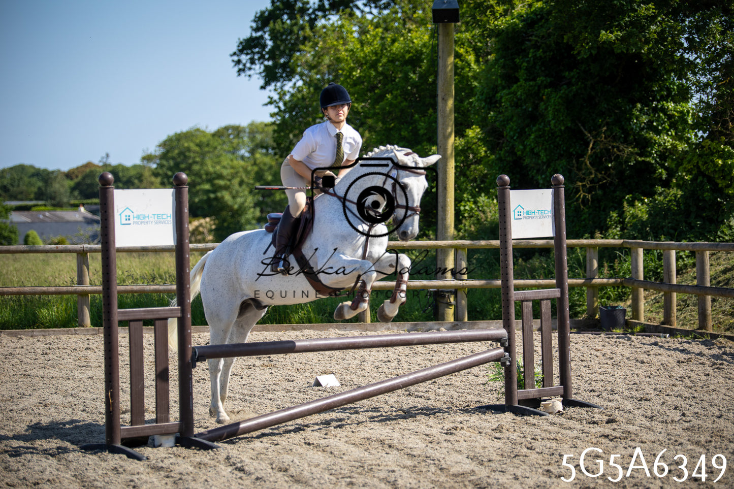 Home Farm Working Hunter 24th May 2026