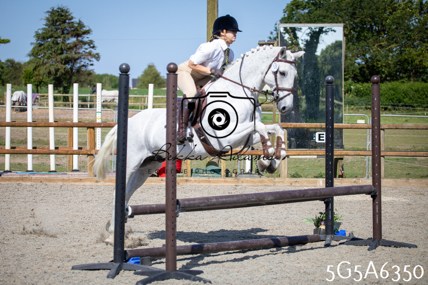Home Farm Working Hunter 24th May 2026
