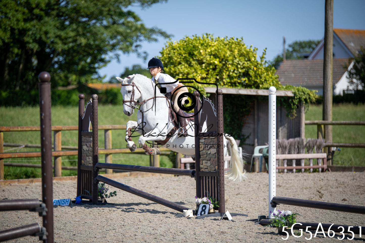 Home Farm Working Hunter 24th May 2026