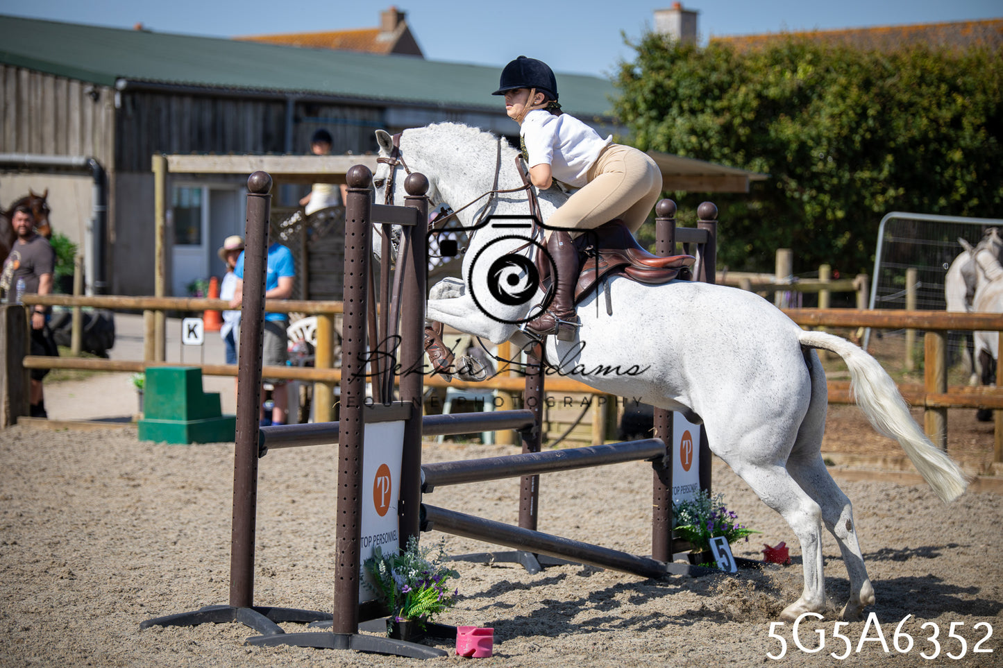 Home Farm Working Hunter 24th May 2026