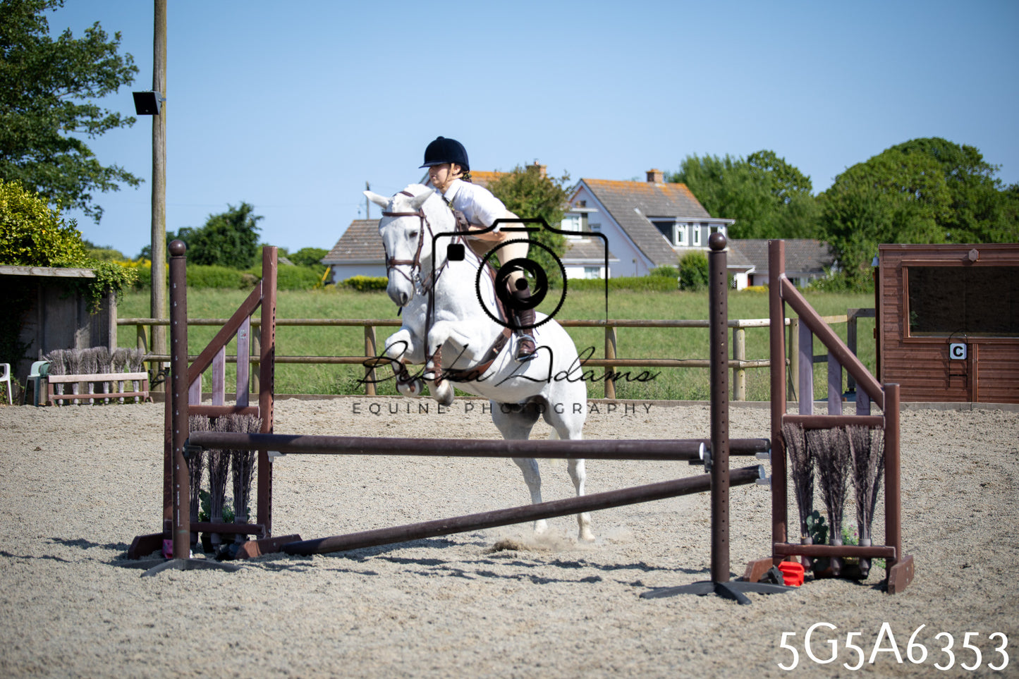 Home Farm Working Hunter 24th May 2026